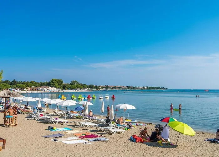 Amazing House With Pool